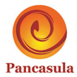 PT Pancasula Indonesia