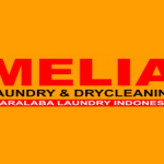Melia Laundry Group